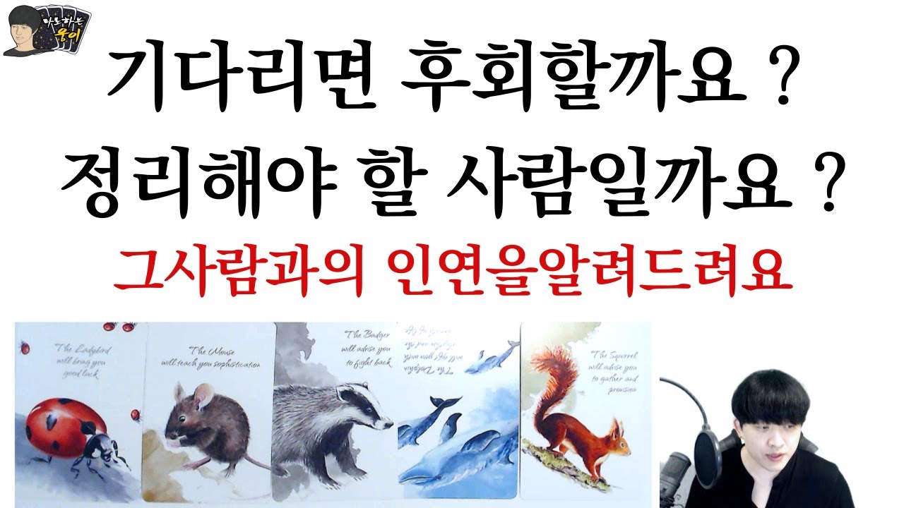 (타로)기다릴까, 정리할까? 인연의 끝, 그 사람의 속마음과 연락·재회 운