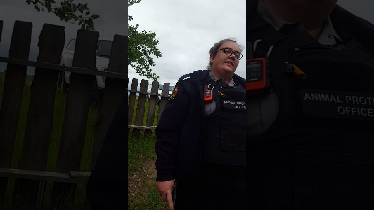 JUNE 25 /24 Officer Cynthia Schneider's closing statements on my Corrective Action Orders to improve