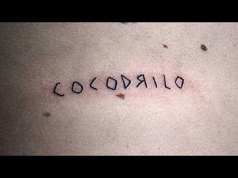 Miniatura de Cocodrilo