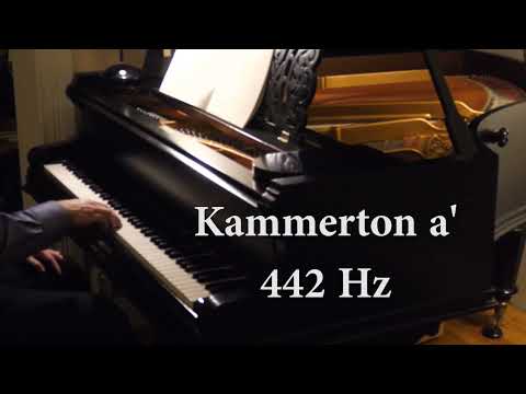Kammerton a' 442 Hz, Schiedmayer & Soehne