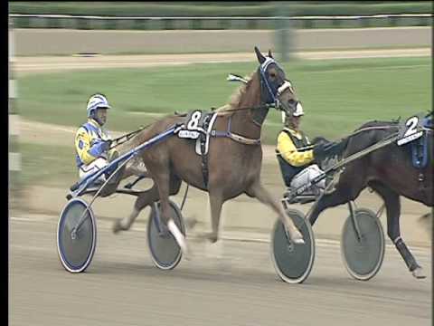 Trotto 02/04/2017 - 4ª corsa