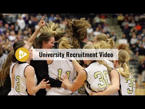 Proceeds Media video.