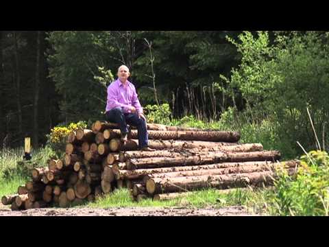 David Maguire  Sunday Morning Coming Down