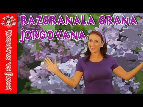 💖 Razgranala grana jorgovana 💖 Pevaj sa Sandrom | Dečije pesme | Dečije priče