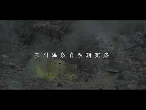 【玉川温泉の自然研究路散策】をご紹介！自然美と温泉の融合