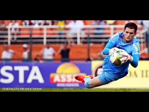 Vagner | Avaí FC 2015-16 | Best Saves Compilation | HD 720p