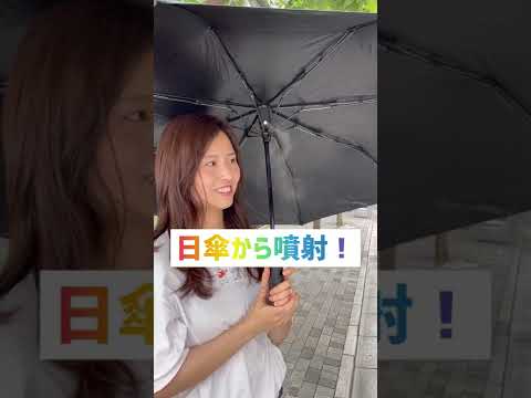 園芸 掌状シネレシス、丈夫な傘植物