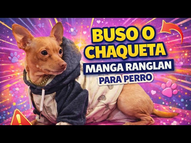 Vídeo relacionado con Jayson Home For Wayward Dogs Apellido Camiseta Manga Raglan