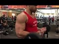 5x5 Chest Workout & Biceps @hodgetwins