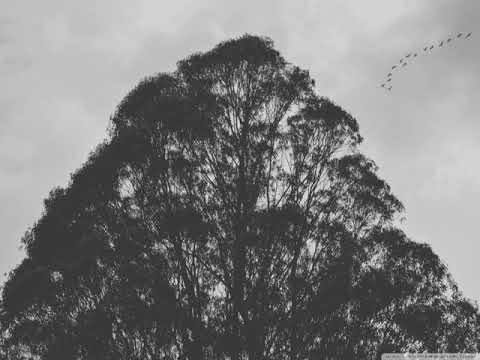 Pavel Kazakov - Gray Threads Dub Techno Podcast #28 🇷🇺 #atmospheric#dubtechno