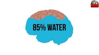 Brain Hacks—8