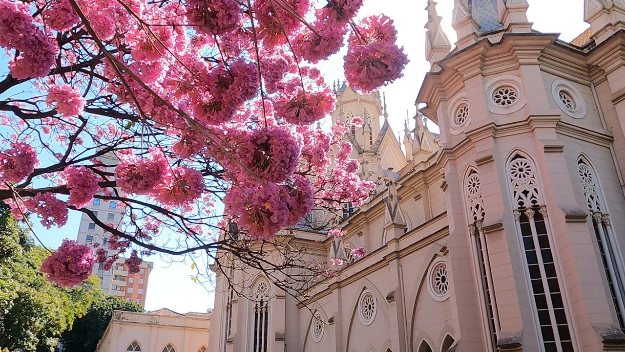 【4K】Church of Boa Viagem - Paróquia Nossa Sra da Boa Viagem - Belo Horizonte - Brazil walking tour