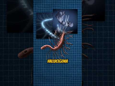 What exactly is the hallucigenia in attack on titan?