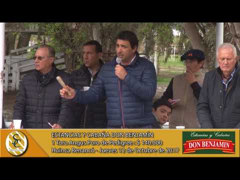 12-10-17 Venta de Toros Angus y Hereford P.P. - Estancias y Cabaña Don Benjamín - Huinca Renancó