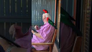 Download lagu Bird life at O’Reilly’s mp3