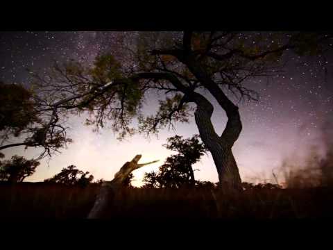 Electronic Emotions - Asura Tribute Mix