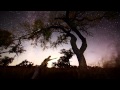 Electronic Emotions Asura Tribute Mix