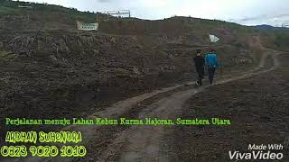 preview picture of video 'Kavlingan Kebun Kurma Sumatera Utara | 082390201010'