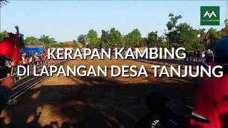 preview picture of video 'Pertandingan Jelang Final Kerapan Kambing di Lapangan Desa Tanjung Saronggi Sumenep'