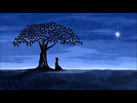 Astral Waves feat. Æolia & DJ Prahladji aka Patrick Bernard - Shanti Dub