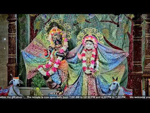 SB Summary 5.7, Verse 5.7.12 by HG Radha Krishna Prabhu - 06/02/2022