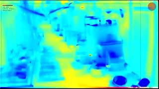 Thermal Rodent Video 3