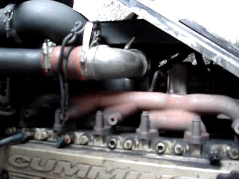 NW Bus Sales - 1999 Bluebird 27 and 2 Wheelchairs - Used Bus B82023