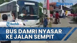 Viral Video Bus Damri Nyasar ke Jalan Sempit di Brebes Gara-gara Google Maps, Warga Sekitar Heran