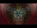 Ayahuasca Icaro de Guardians 