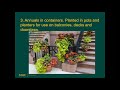 Field to Fork 2020: Growing Flowers for Fun and Profit Field to Fork 2020: Growing Flowers for Fun and Profit