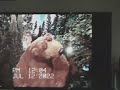 Bear In The Big Blue House Trailer