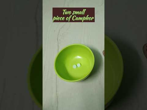 Camphor to remove dandruff and stop hair fall 👌🌹 #shorts