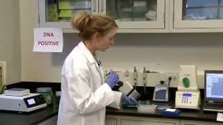 iQ-Check Easy Deepwell Extraction Protocol Training
