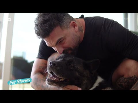 Ο Δημήτρης Αλεξάνδρου μιλάει για την "Love" και την απώλεια του "Zeus" | Pet Stories | 04/10/2025