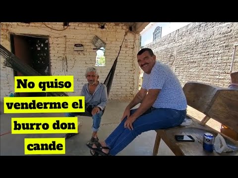 can't stand anything