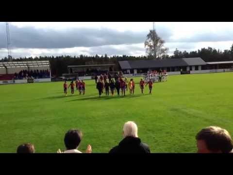 Vittsjö vann idag mot Piteå 1-0.