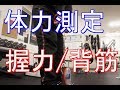 【体力測定】現在の背筋力・握力はどれくらい行くのか?