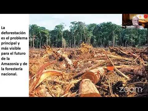 SemIng2021 - Propuesta de nueva política forestal que contribuya eficazmente al desarrollo nacional