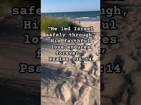 Pray for Israel 🇮🇱 🙏🏼 #shortsfeed #prayforisrael #pray #bible