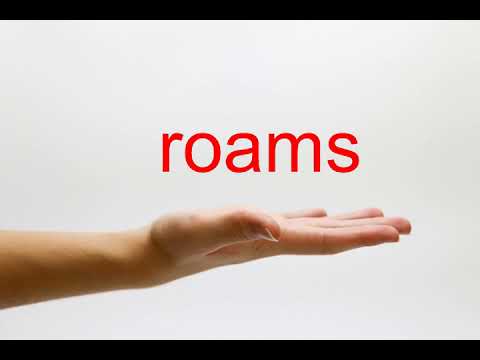 How to Pronounce roams - American English