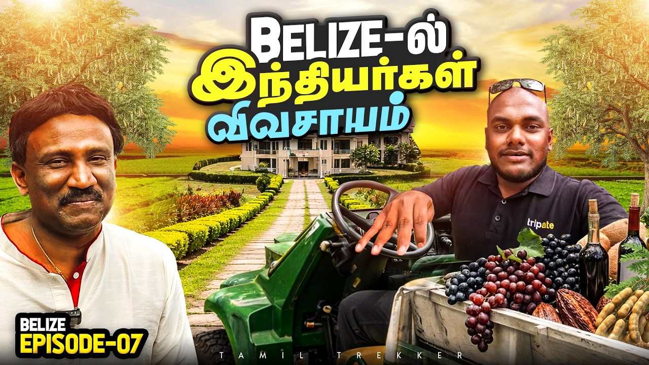 500 ஏக்கர் நிலத்துக்கு நடுவுல நாங்க மட்டும்தான் இருக?