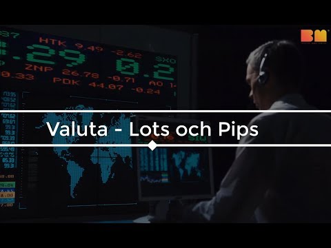 Lär Dig Trading – Lots och pips Lär Dig Trading – Lots och pips