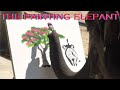 Suda The Elephant That Can Paint