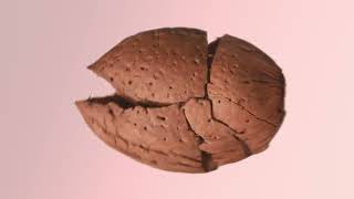 Givenchy Irresistible Eau de Parfum Nude Velvet