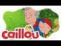 Caillou Blueberry Point S05E21 Cartoon For Kids