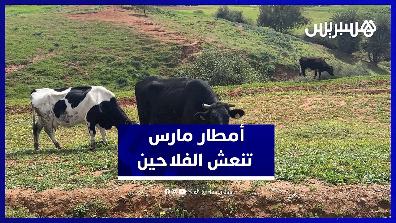 تساقطات مارس تبعث الأمل في نفوس فلاحي منطقة السهول thumbnail