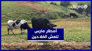 تساقطات مارس تبعث الأمل في نفوس فلاحي منطقة السهول thumbnail