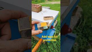 Tips to Introduce a Caged Queen Bee