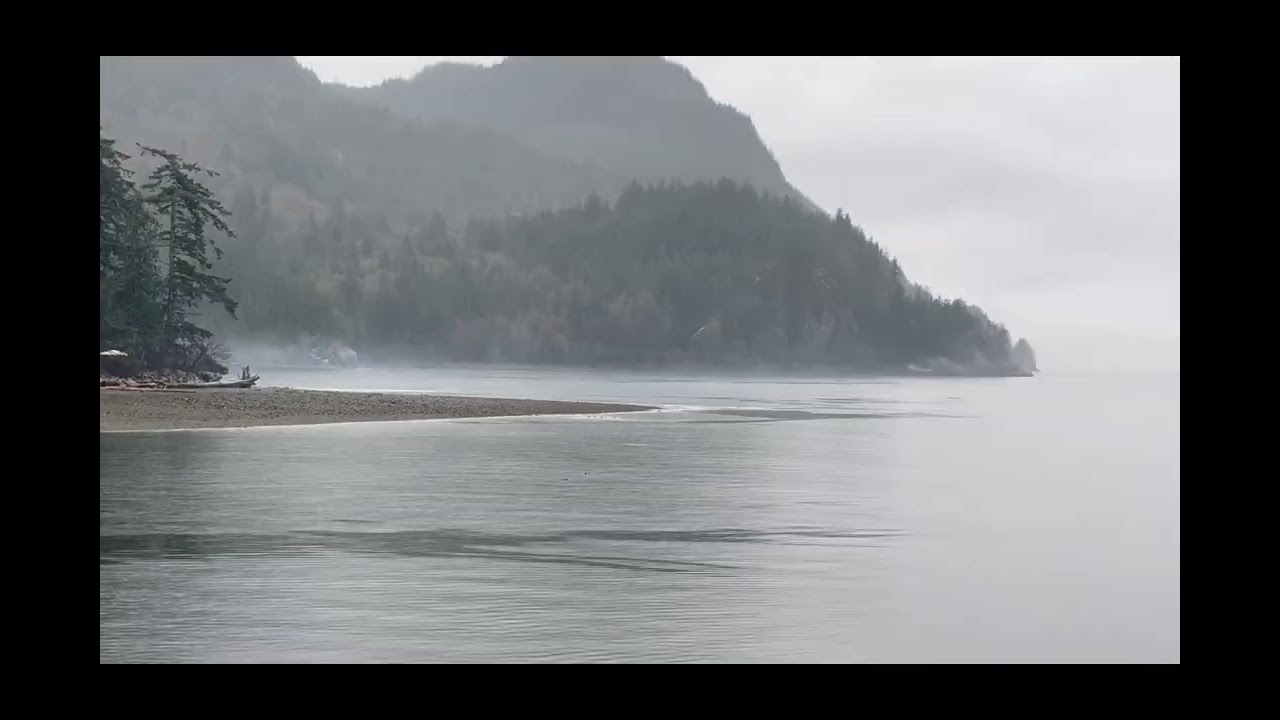 Discovering the Beauty of Vancouver's Rainy Days