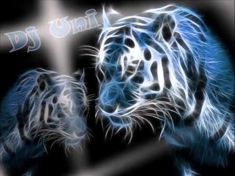 Dj Uni - Make Me The Faith And Wake Me Tsunami (Avicii & Blasterjaxx & DVBBS & Aloe Blacc)